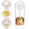 Clear Glass Dome Cover Decorative with Foam Artificial Rose Bouquet inside AJEW-FH00007-4