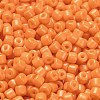 Baking Paint Pearlized Glass Seed Beads SEED-C001-04A-19-3