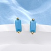 Cubic Zirconia Rectangle Stud Earrings FU7889-14-4