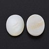 Natural Freshwater Shell Cabochons SHEL-S278-048B-3