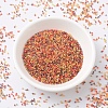 MIYUKI Delica Beads X-SEED-J020-DB2063-2