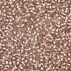 TOHO Round Seed Beads X-SEED-TR11-0031F-2