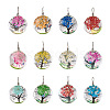 Craftdady 12Pcs Transparent Glass Pendants GLAA-CD0001-03-2