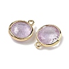 Natural Amethyst Faceted Flat Round Charms G-U028-03G-09-2