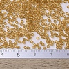 MIYUKI Delica Beads SEED-X0054-DB0119-4