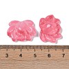 Baking Paint Glass Beads X-GLAA-S202-13J-3