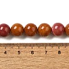 Dyed Natural Malaysia Jade Beads Strands G-G021-02C-19-3