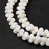 Natural Freshwater Shell Beads Strands BSHE-E026-17-4