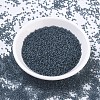 MIYUKI Round Rocailles Beads SEED-G007-RR1938-2