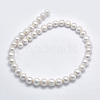Natural Cultured Freshwater Pearl Beads Strands PEAR-F007-07-2