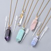 Natural Gemstone Perfume Bottle Pendant Necklaces NJEW-F251-09-2