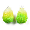 Opaque Resin Pendants RESI-N021-29-3