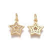 Brass Micro Pave Clear Cubic Zirconia Charms ZIRC-I036-04G-1