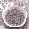 Glass Seed Beads SEED-A032-01C-2