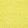 Baking Paint Glass Seed Beads SEED-L011-09A-20-3