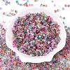 6/0 Transparent Inside Colours Glass Seed Beads SEED-N006-003-2