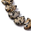 Natural Dalmatian Jasper Beads Strands G-F783-G06-01-4