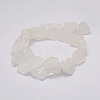 Raw Rough Natural Quartz Crystal Beads Strands G-F403-11-2