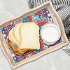 DIY Diamond Painting Dish Plate Decoration Kits PW-WG797B1-01-4