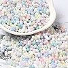 Opaque Colours Luster Glass Seed Beads SEED-B001-01A-06-1