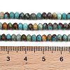 Natural Anhui Turquoise Beads Strands GG-CBA5BAE-B01-5