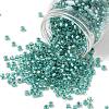 TOHO 6/0 Round Beads SEED-TR06-0264-1