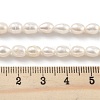 Natural Cultured Freshwater Pearl Beads Strands PEAR-P062-06D-5