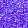 TOHO Round Seed Beads X-SEED-TR08-0938-2