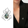 Creative Abalone Shell Spider Brooch PW-WGB0402-01-2