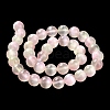 Natural Selenite Beads Strands G-P493-03B-4