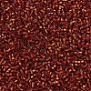 MIYUKI Delica Beads SEED-X0054-DB0601-2