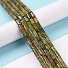 Natural Unakite Beads Strands G-G990-C11-2