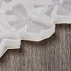 DIY Silicone Molds LS-DIY-G110-01E-5