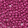 6/0 Glass Seed Beads SEED-S058-A-F451-3