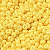 Baking Paint Luster Glass Seed Beads SEED-B001-04A-06-3