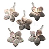 Natural Black Lip Shell Pendants SHEL-M019-03P-1