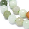 Natural Jadeite Beads Strands G-G789-01A-3