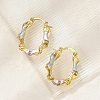 Brass Two Tone Oval Hoop Earrings EJEW-B117-04-3