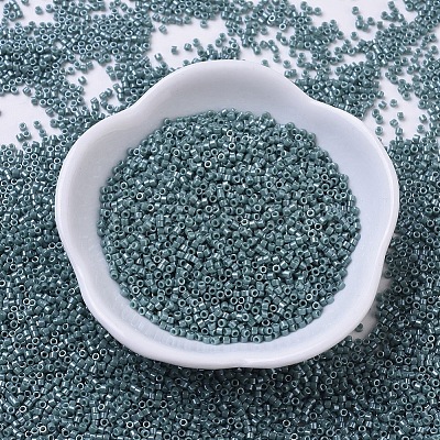 MIYUKI Delica Beads X-SEED-J020-DB0264-1