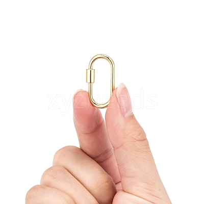 Brass Screw Carabiner Lock Charms KK-T047-07G-1