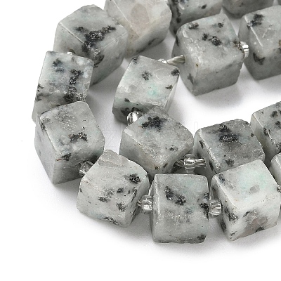 Natural Sesame Jasper Beads Strands G-D338-A20-1