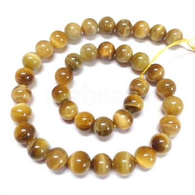 Natural Tiger Eye Beads Strands G-G544-10mm-01-1