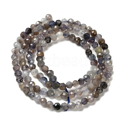 Natural Iolite Beads Strands LS-G-RM2025-22-3mm-1