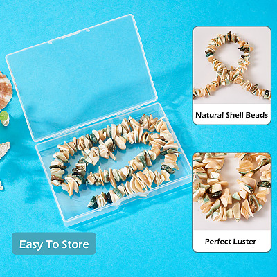 1 Strand Natural Seashell Shell Beads Strands SSHEL-TA0001-12-1