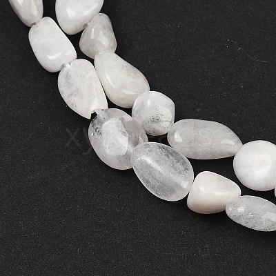 Natural Rainbow Moonstone Beads Strands G-G018-48-01-1