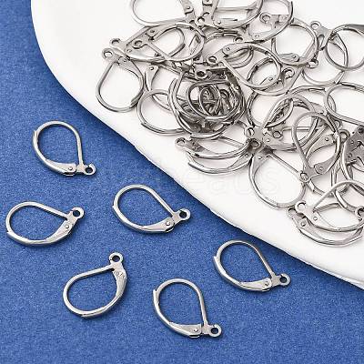 Tarnish Resistant 316L Surgical Stainless Steel Leverback Earring Findings STAS-E194-03P-1