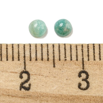 Natural Amazonite Cabochons G-Q173-01A-04-1