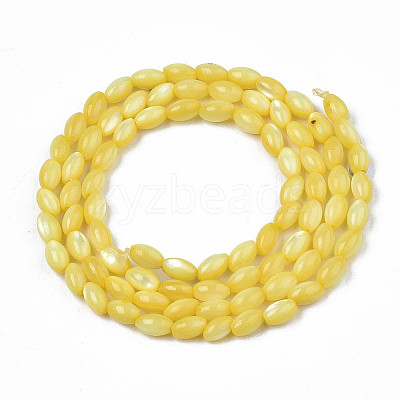 Natural Freshwater Shell Beads Strands X-SHEL-N003-25-B05-1