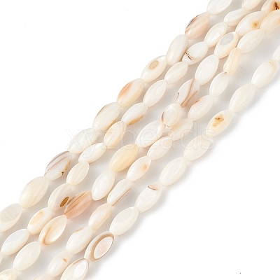 Natural Freshwater Shell Dyed Beads Strands SHEL-M018-13-13-1
