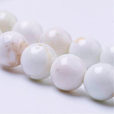 Natural Magnesite Bead Strands G-P286-10-6mm-1